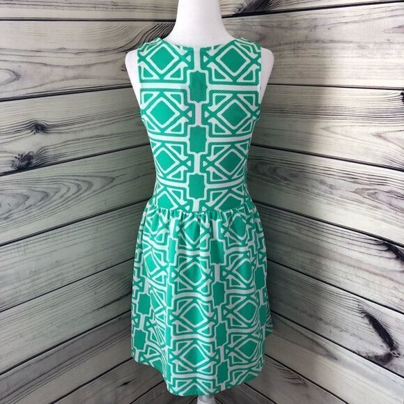 Francescas Green & White Patterned Fit & Flare Dress - Picture 5 of 7
